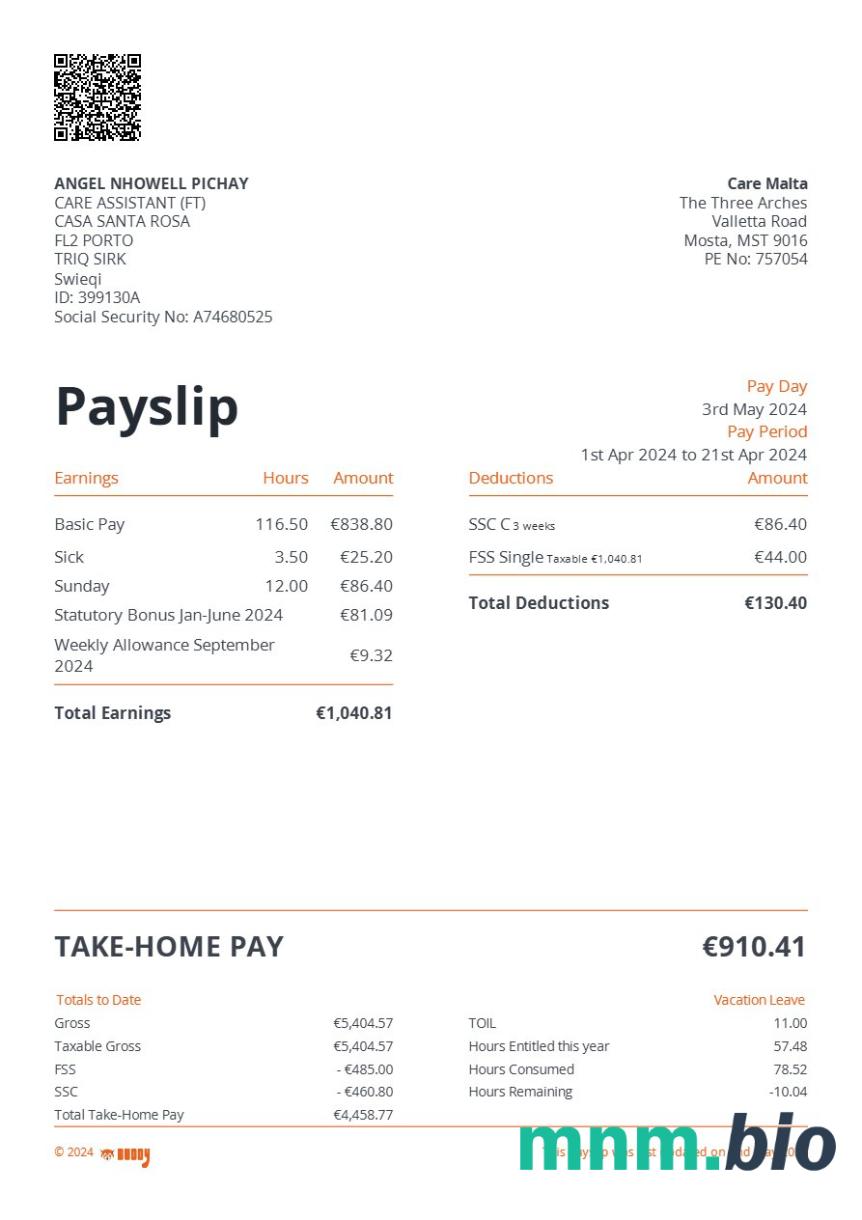 Care Malta payslip szablon w formatach Word i PDF